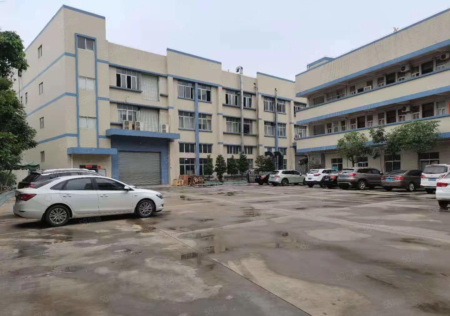 不限电可办环坪  大岭山新出独院原房东3层5000平厂房出租