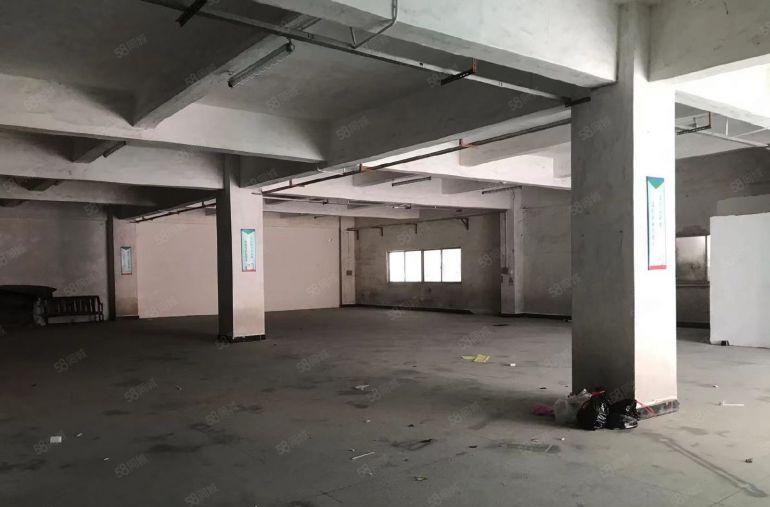 大岭山，零公摊厂房出租，通水电，可分租，带电梯