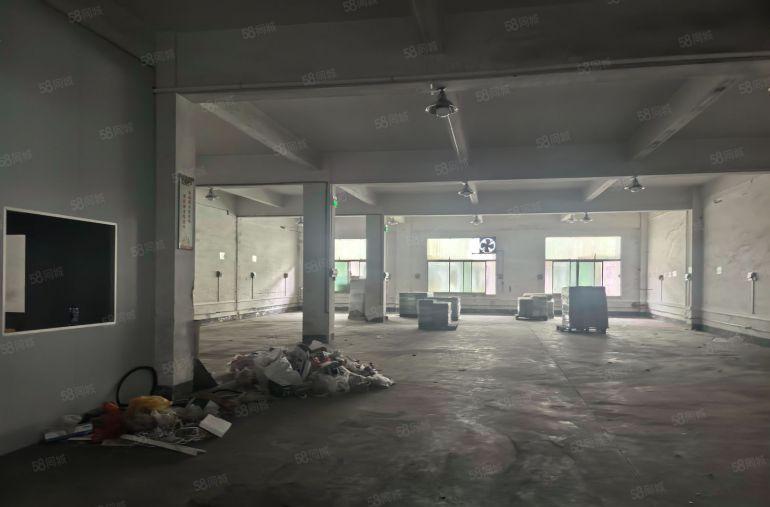 可办环坪 大岭山镇颜屋村新出独院标准2层1000平方厂房出租