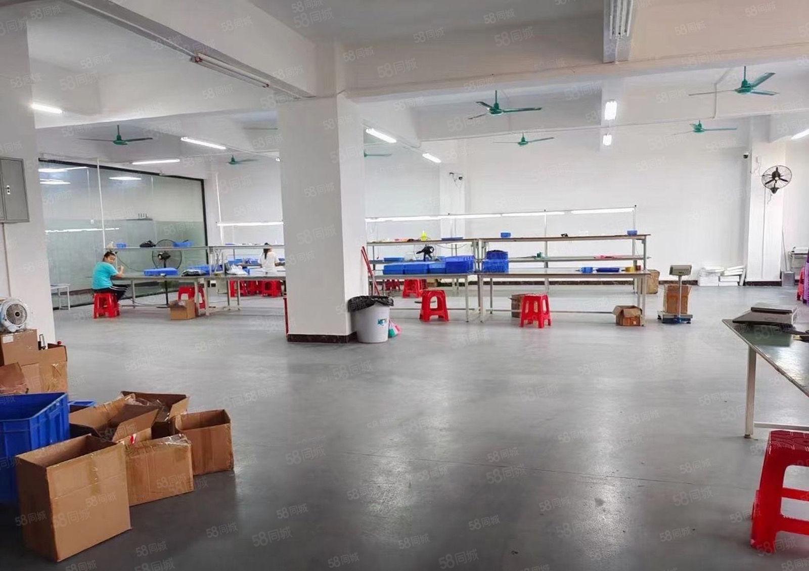 现成精装修，大岭山杨屋高速口，楼上600平标准厂房出租