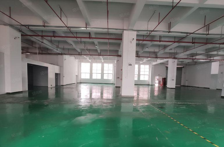 大岭山杨屋一手房东一楼1500平实际面积20块一平厂房出租