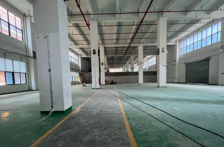 大岭山镇12米高标准1楼1500平园区空地大，上市公司的形象