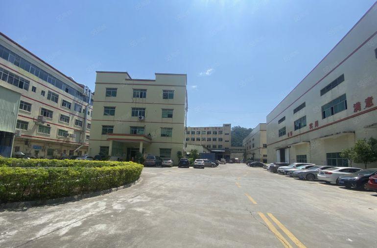 大岭山镇大环村空出楼上1200平方原房东低价厂房出租带精装修