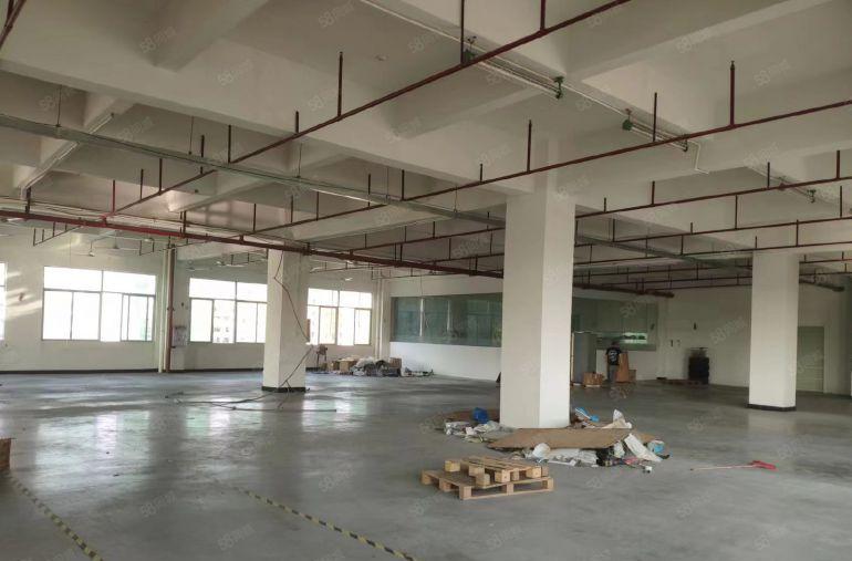 大岭山杨屋新空一手房东三楼1500平精装修办公室厂房出租