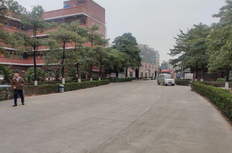 大岭山杨屋原房东厂房低价出租单一层每栋2000平