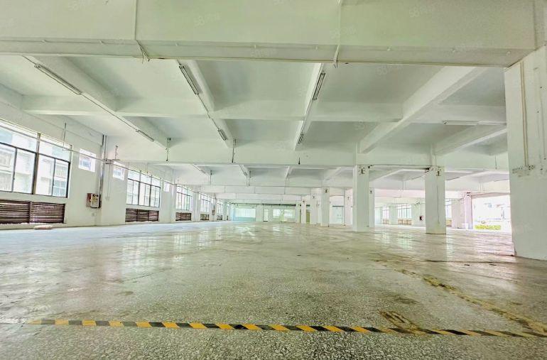 大岭山杨屋独门独院空地超大精装修可办环评水电齐全