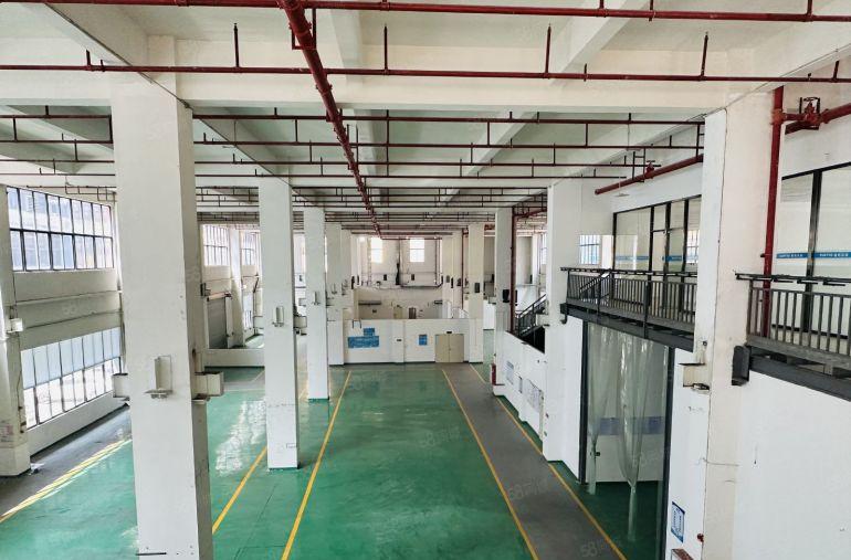 大岭山镇工业园区3200平 滴水11米 水电齐全 精装修