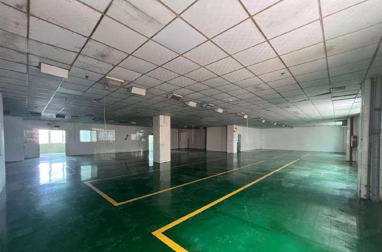 超低价 大岭山镇石大路新出工业园区楼上1300平厂房出租