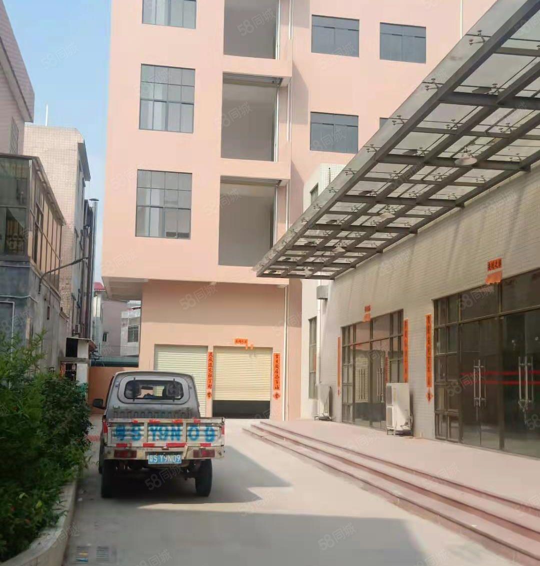 无公摊大岭山金桔原房东新建独栋标准厂房4层1000平厂房出租