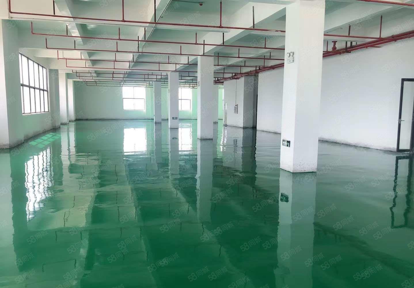 大岭山镇空出原房东独门独院3层3000平厂房出租无公摊带环坪