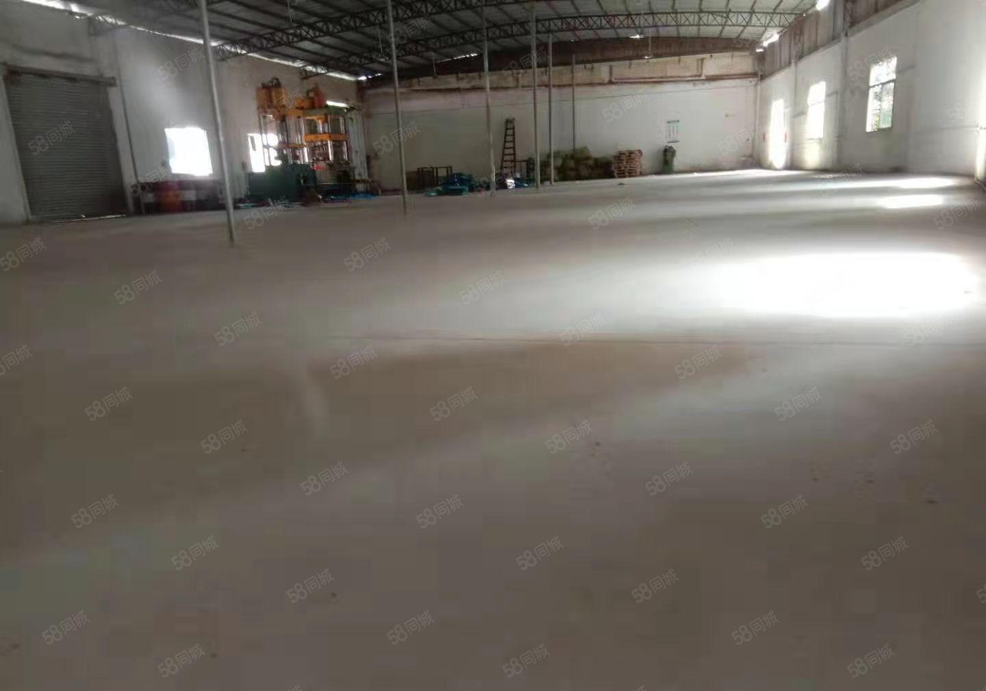 大岭山原房东自建单层小独院920平方出租，价格美丽