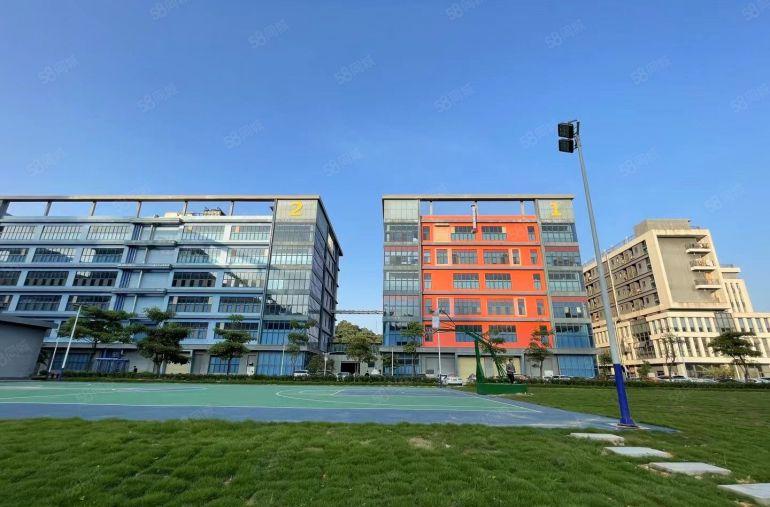 大岭山镇工业园区3200平 滴水11米 水电齐全 精装修