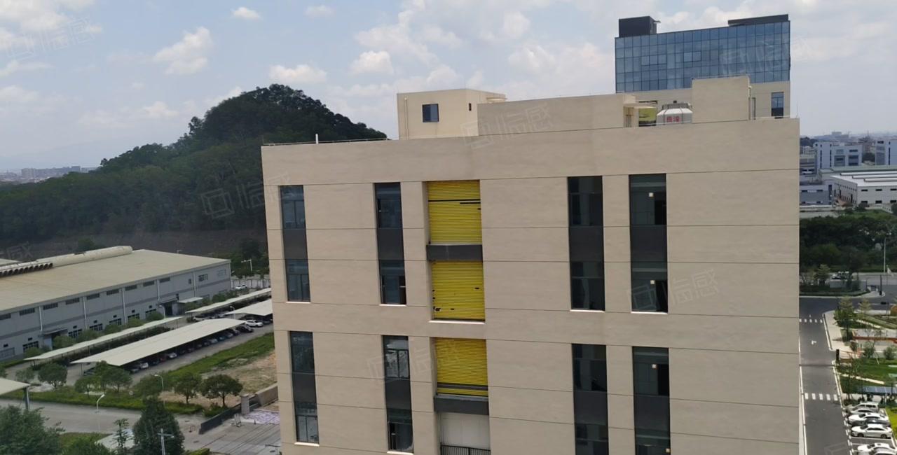 8元200平起原房东大岭山松山湖无公摊2万平厂房出租一楼仓库