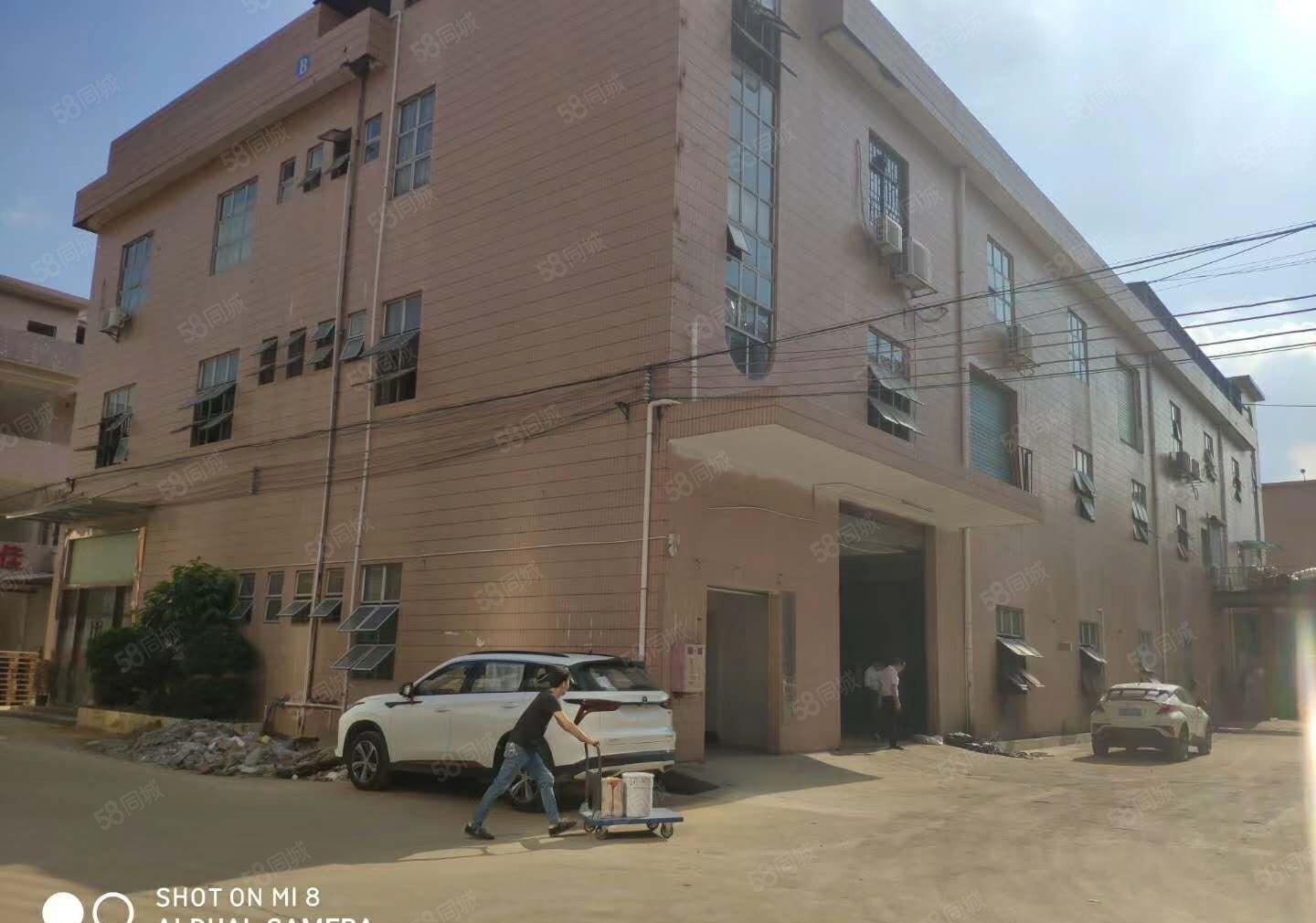 大岭山新出原房东800精装修水电齐全带办公室