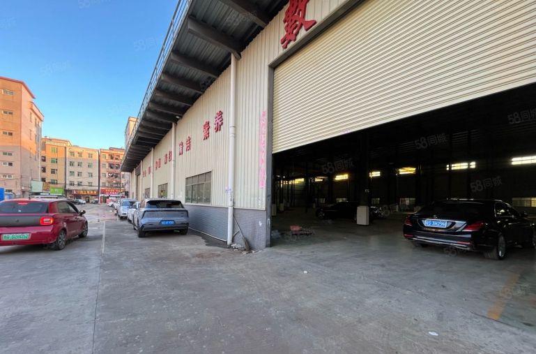 原房东厂房出租大岭山大塘村原房东12米高钢构厂房出租