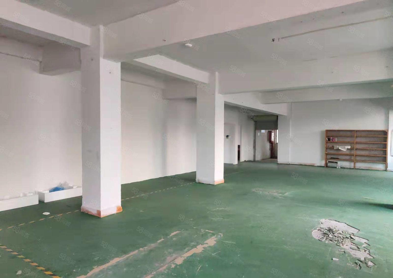 大岭山新出厂房出租450平方带办公室装修，地坪漆天花吊顶