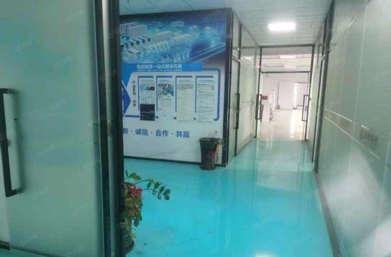 大岭山全新精装修厂房出租低价仓库出租可办公研发仓储生产