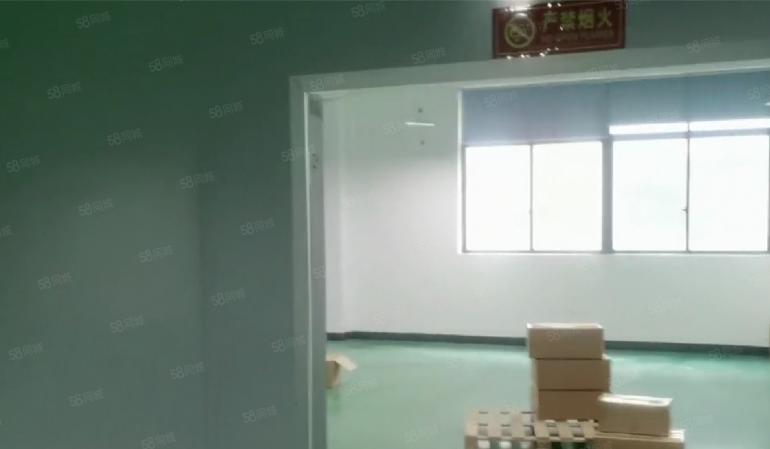 大岭山镇杨屋高速路旁厂房1500平，已刷地坪漆，可办环评