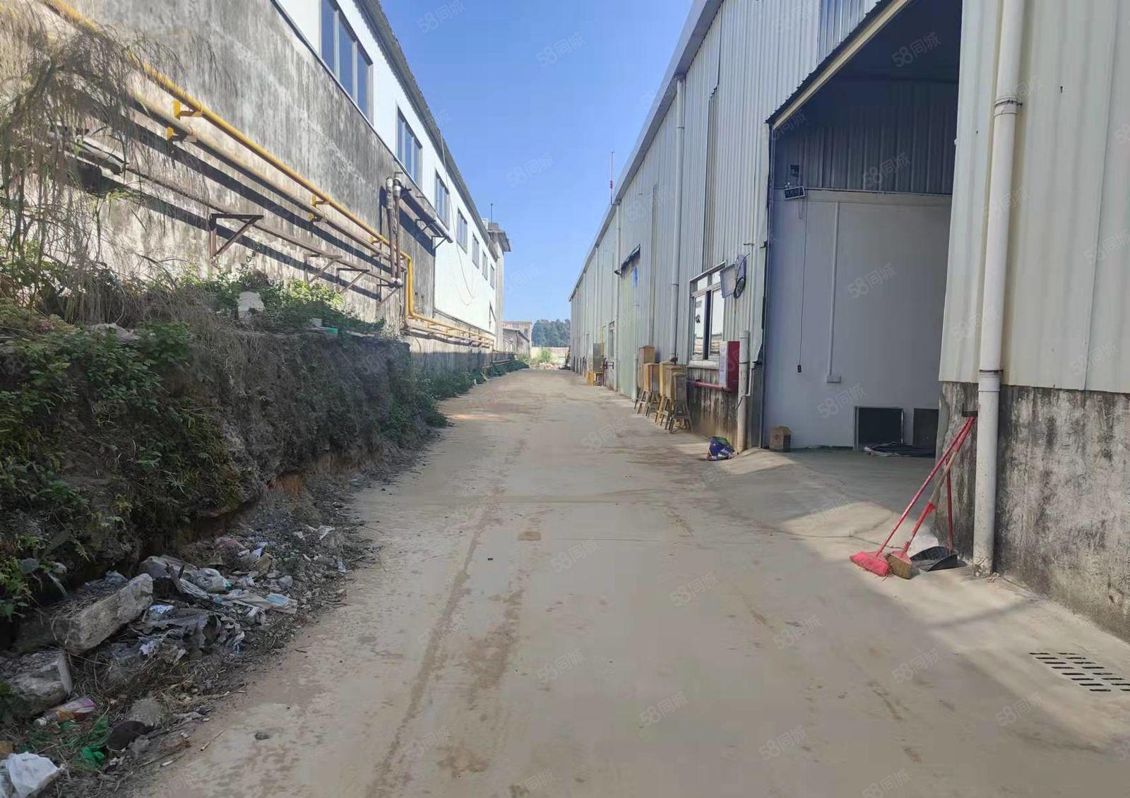 大岭山新出钢构单一层厂房600平优惠出租高8米