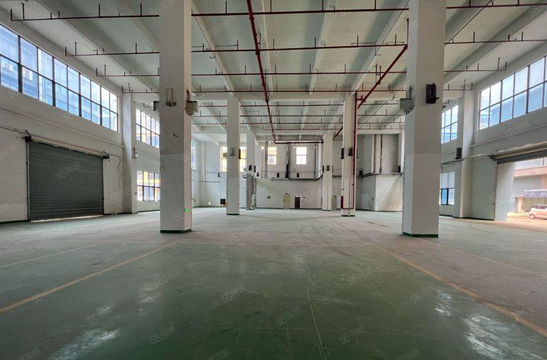 大岭山镇12米高标准1楼1500平园区空地大，上市公司的形象