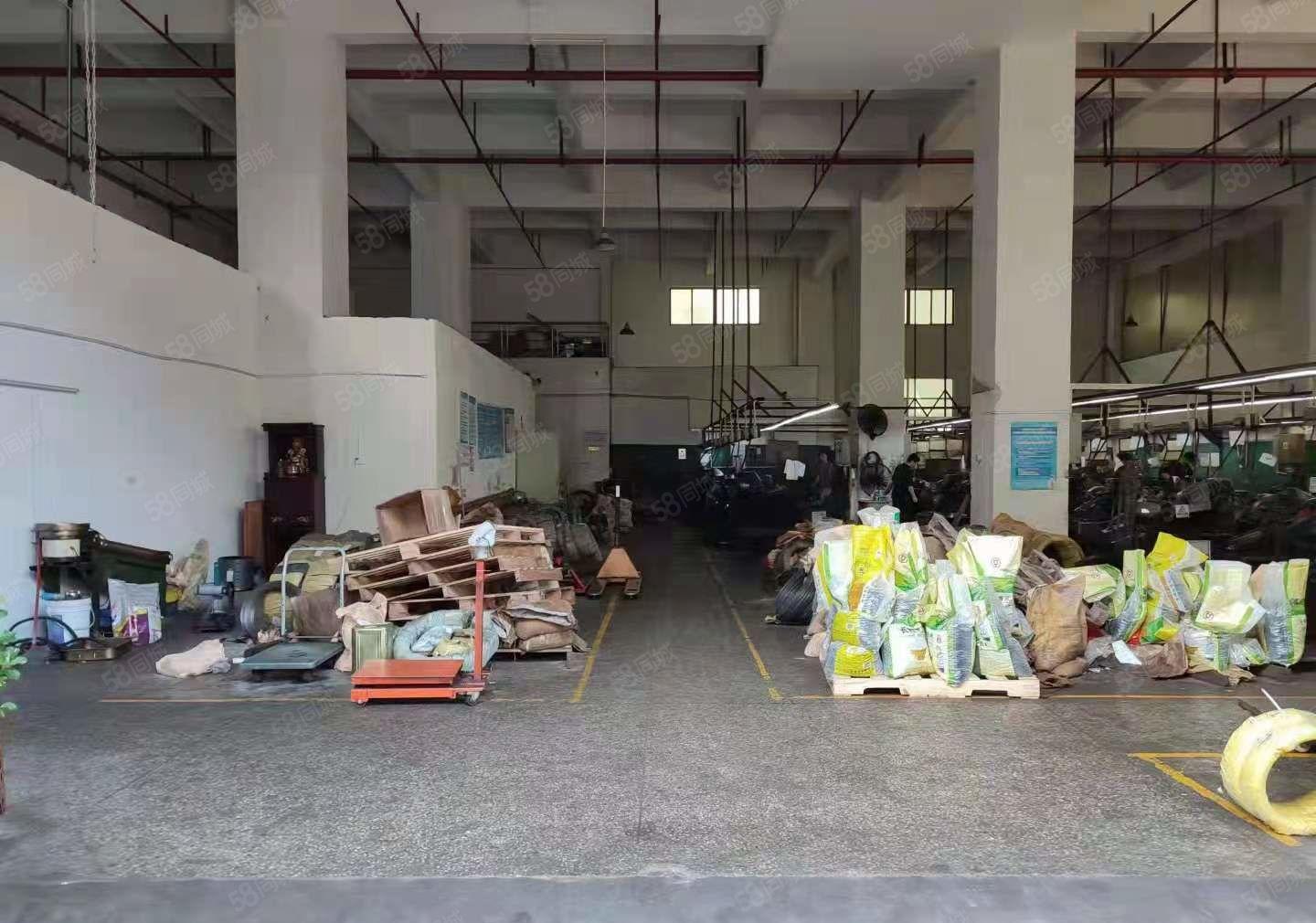 大岭山G107旁一楼1000平高6米厂房出租带办公室水电齐全