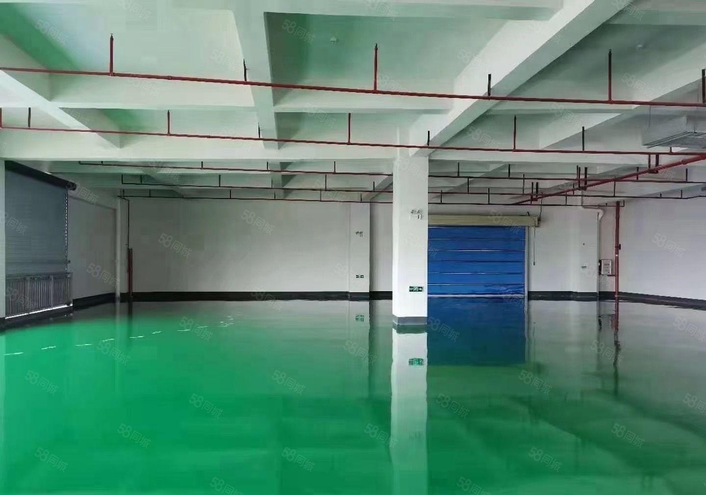 大岭山唯一独院厂房出租 带现成装修6000平