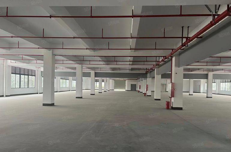 10元大岭山原房东无尘精装修独院厂房出租一到三楼各1000平