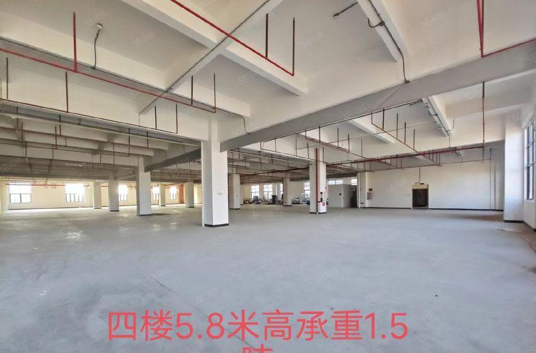 大岭山石大路边国有红本单层面积六千方大小可分一楼高度9.2米