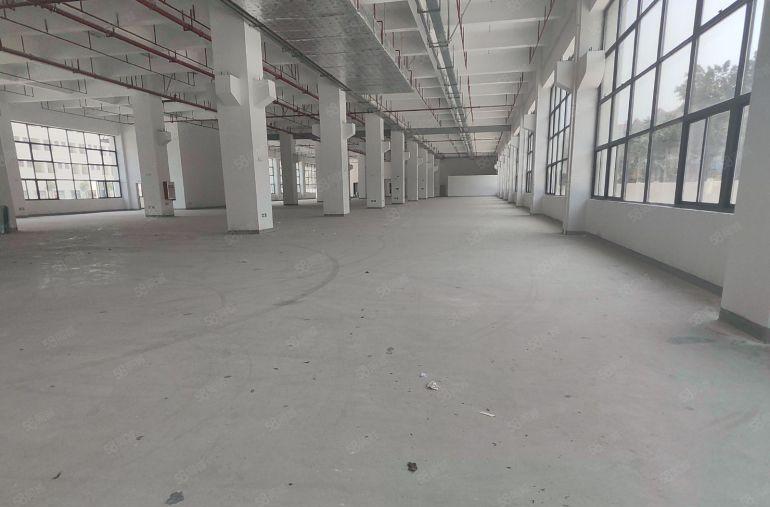 大岭山全新原房东独门独院厂房仓库出租，超大空地，主干道边上。