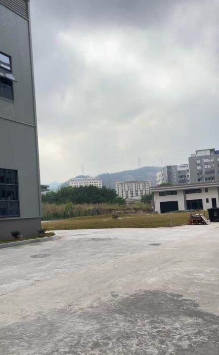 大岭山原房东全新钢构厂房高度15米牛角10米