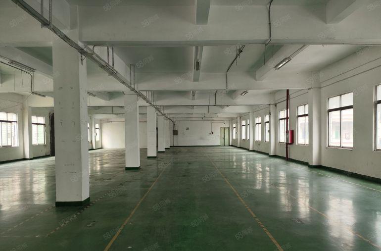 大岭山镇本地人房东二楼现成装修办公室实量面积急租格局方正好用