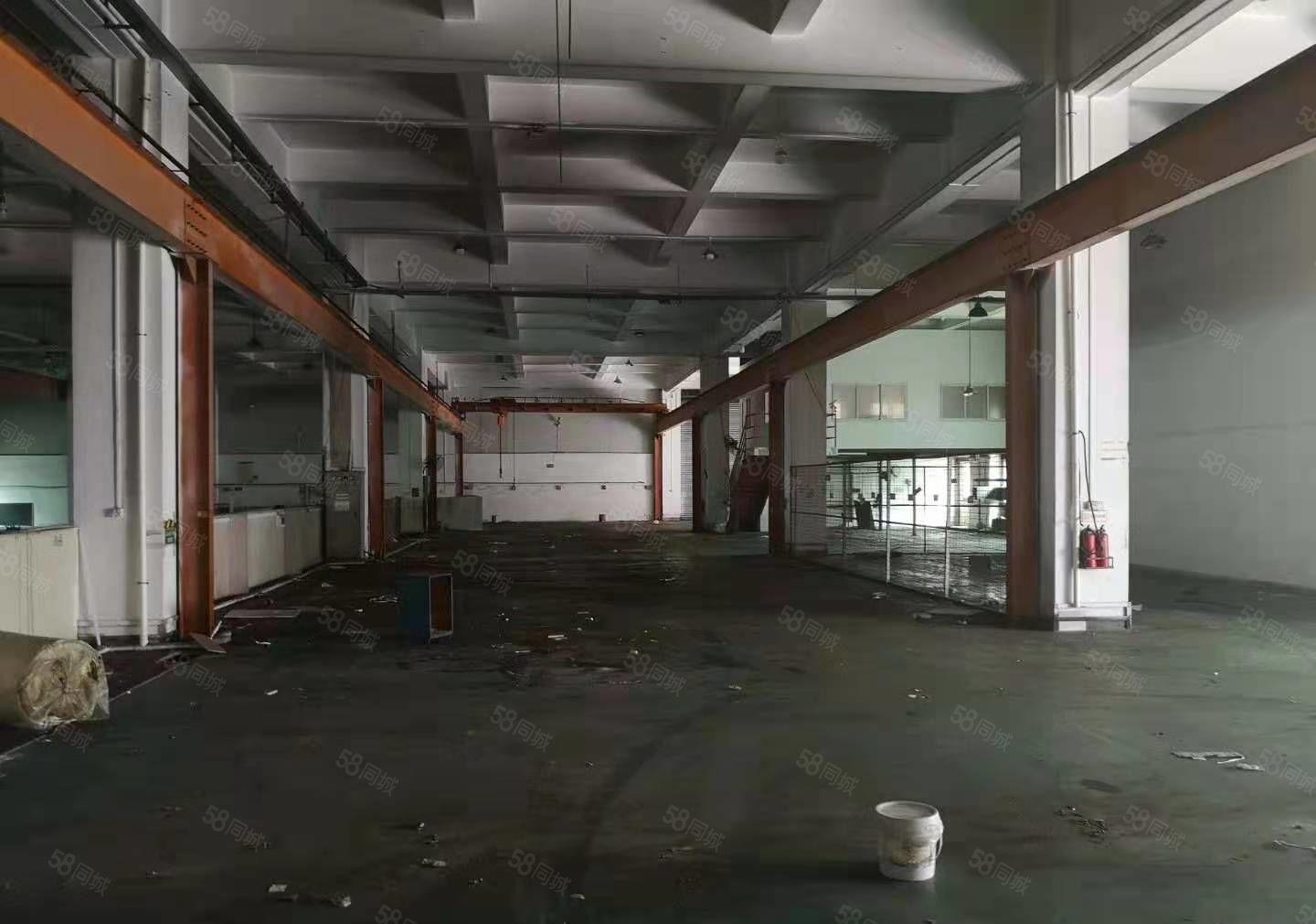 大岭山森林公园旁新出一楼厂房招和1680平6米高主线拉到车间