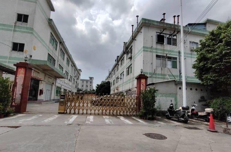 东莞大岭山厂房出租5千平原房东厂房出租独院大朗长安独门独院
