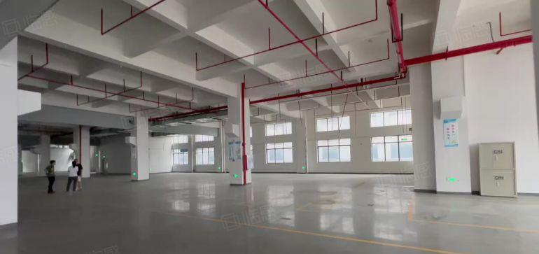 大岭山原房东厂房出租二楼3000平方，层高6米，带牛角