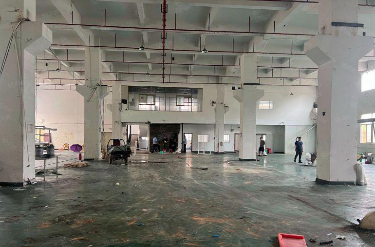 大岭山杨屋原房东标准1楼1680平高度8米带牛角位现成办公室