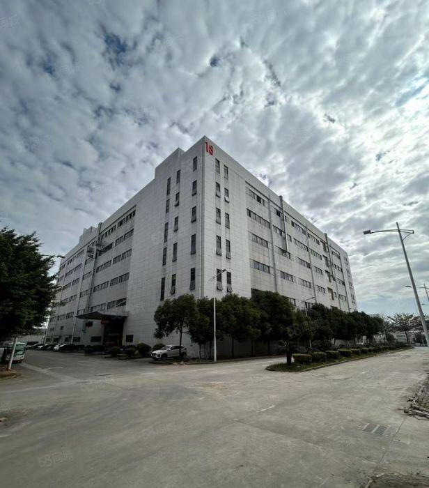 大岭山高大上形象标准厂房出租装修600万现成的不用再铺电线