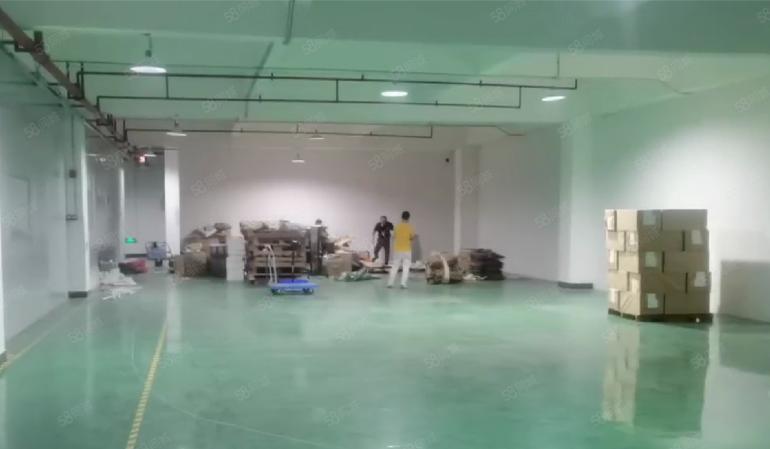 大岭山镇杨屋高速路旁厂房1500平，已刷地坪漆，可办环评