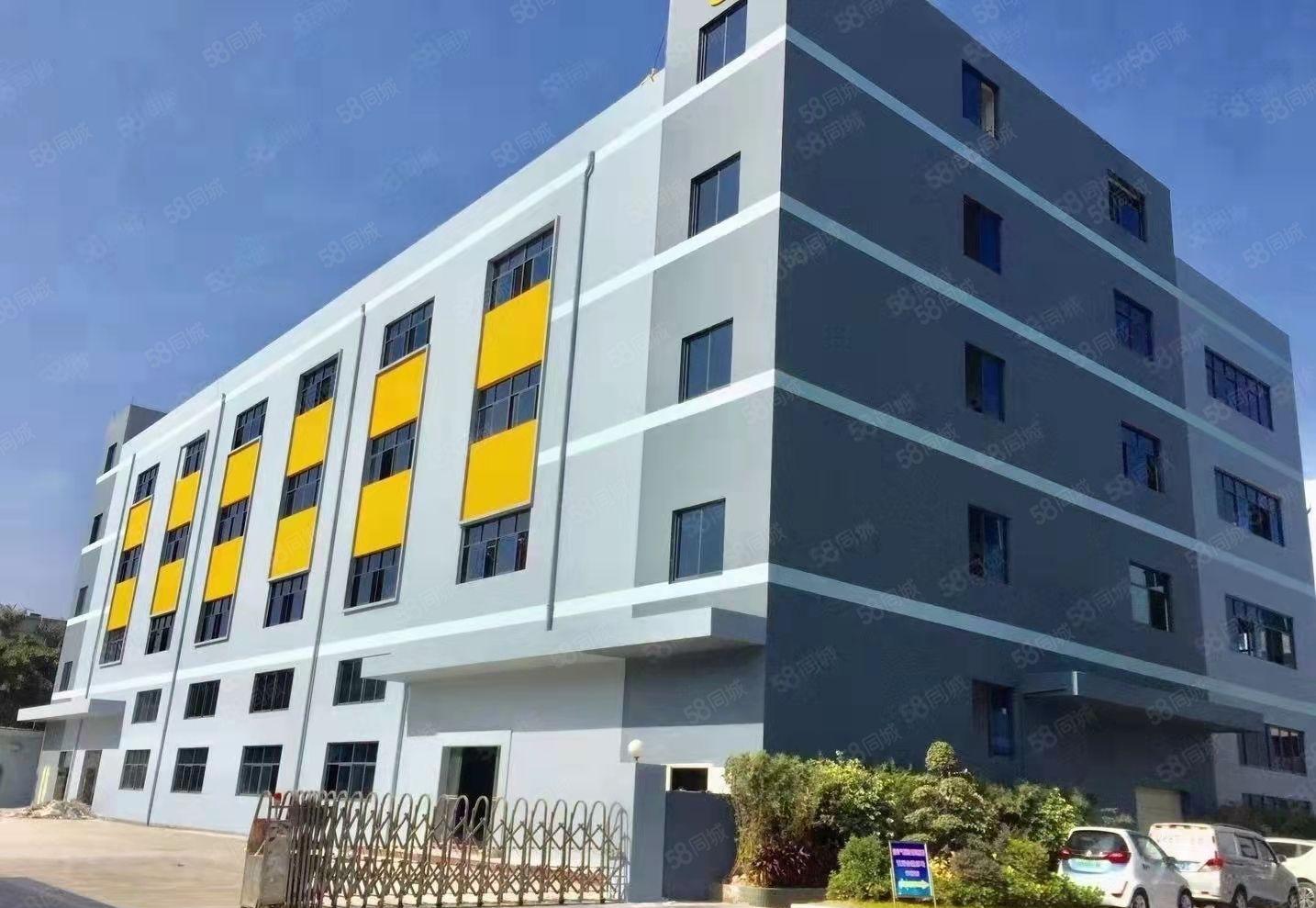 原房东直租 杨屋村新空出现成精装修厂房分租 可办环坪拎包入驻