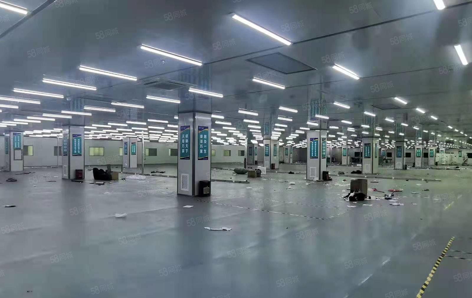 大岭山石大路花园式厂房90000平，可办环评，实际面积出租