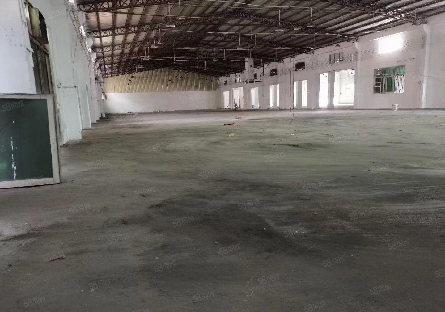 大岭山新出单一层独院厂房已全面翻新，自带卸货平台