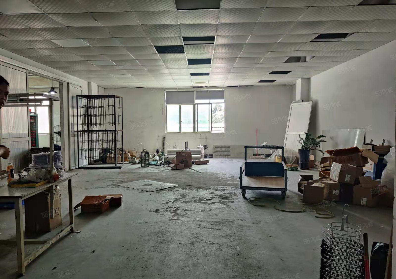 豪华装修水电齐全标准厂房二楼整层