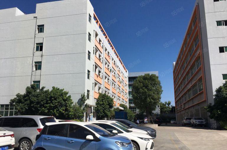 大岭山新出3楼2000平精装厂房出租，原先做电子，无需转让费