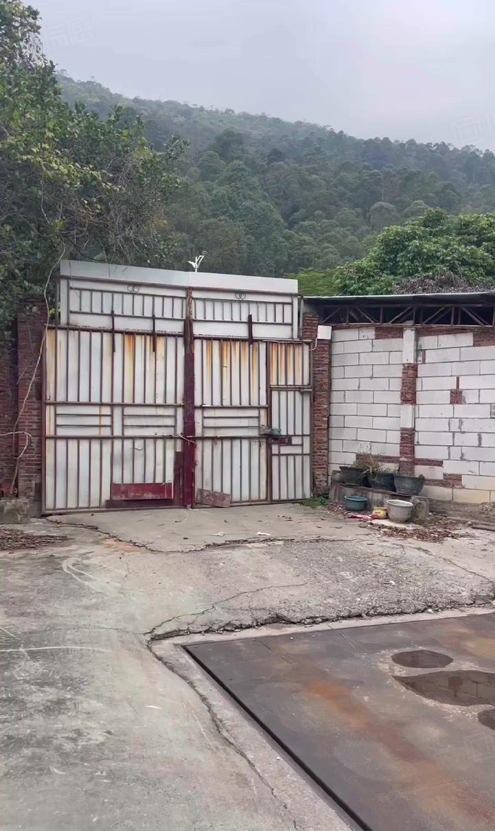 捡漏一楼8块独院 大岭山镇原房东出租铁皮空地2500平可分