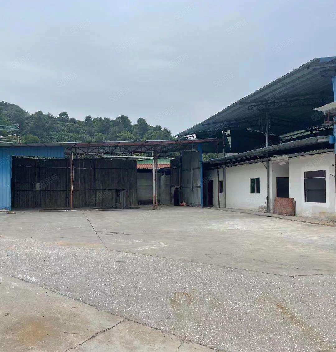 捡漏一楼8块独院 大岭山镇原房东出租铁皮空地2500平可分