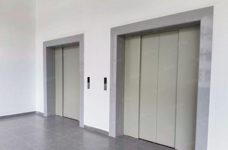 （自带环评可排水）大岭山全新线路板特种厂房，树脂，油墨，镀膜