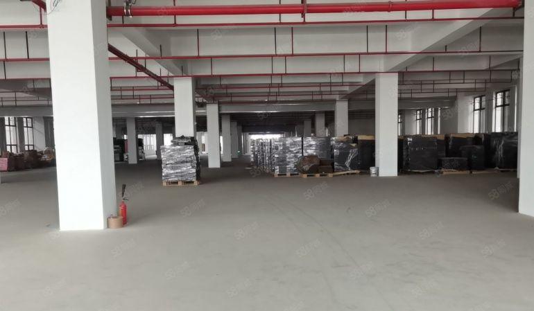 大岭山原房东厂房独院全新园区分租楼上每层3980平实际面积