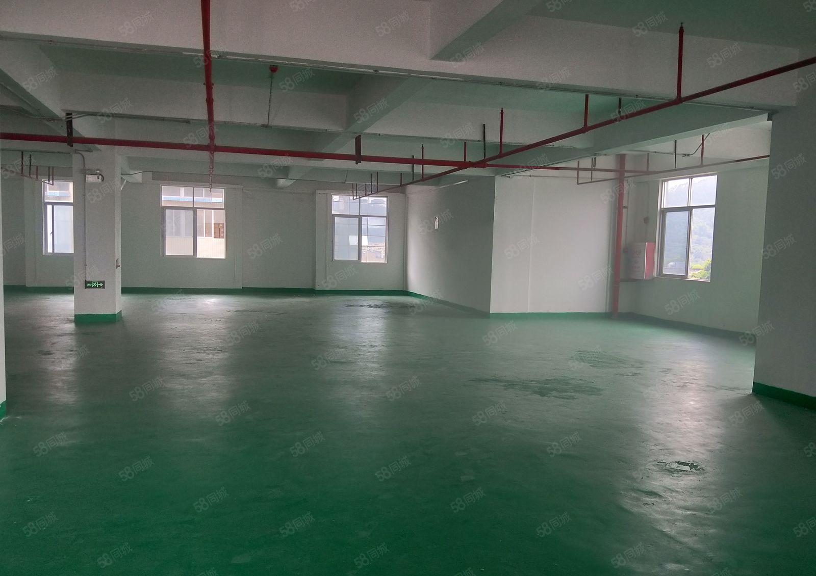 房东直租大岭山二楼厂房带地坪漆10元一平米！无中介无其它费用