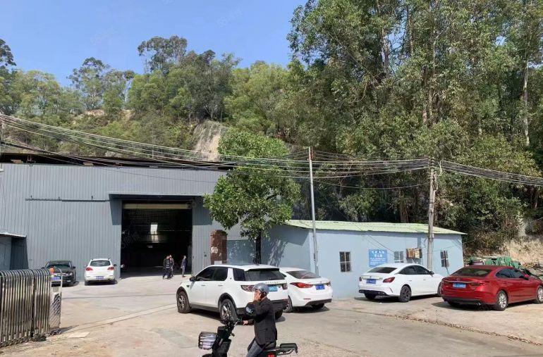 大岭山靠山边，单一层独院厂房出租 超低价 精装修不限行业