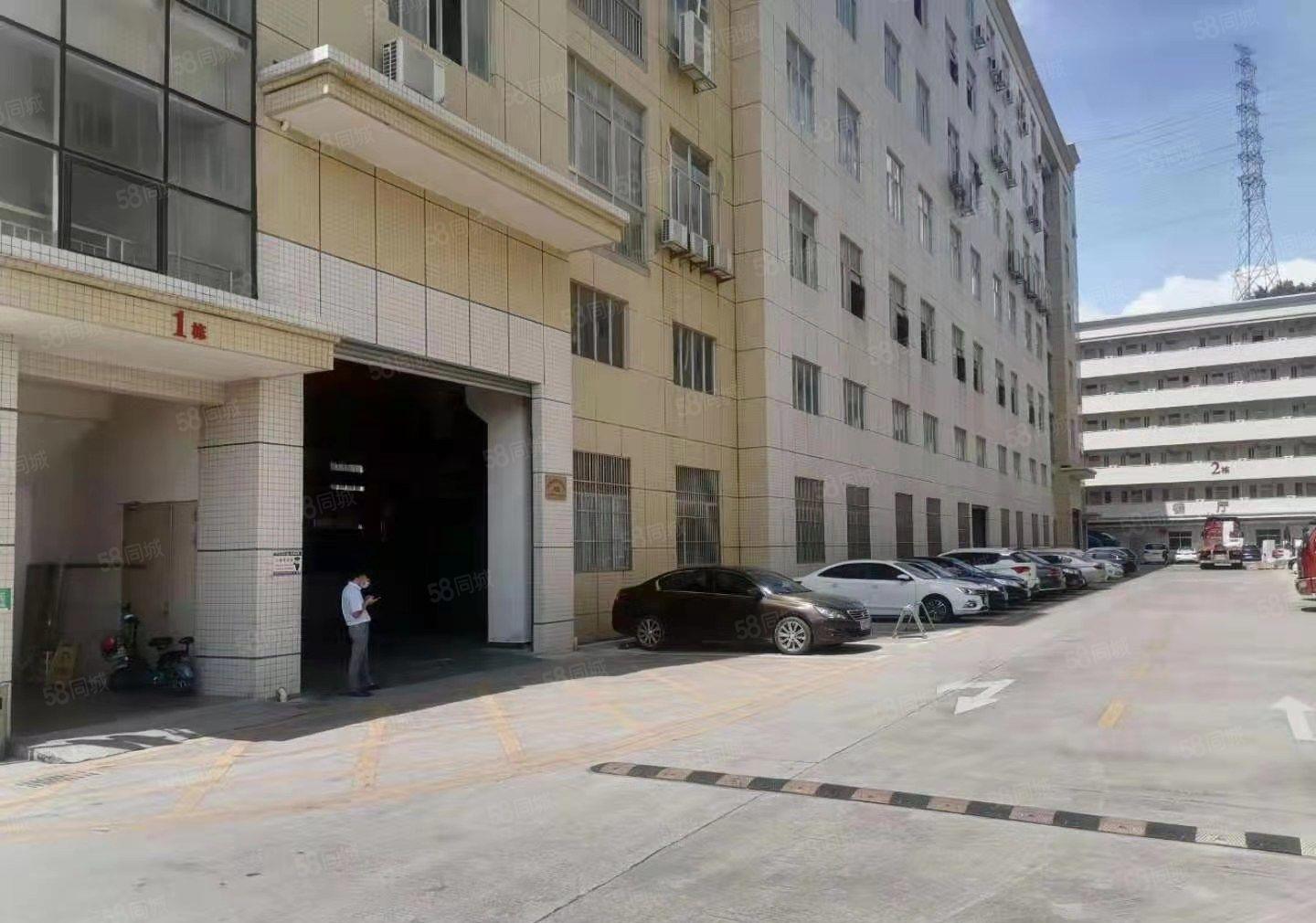 大岭山杨屋工业区新出一楼800平方，带行车7米高水电到位