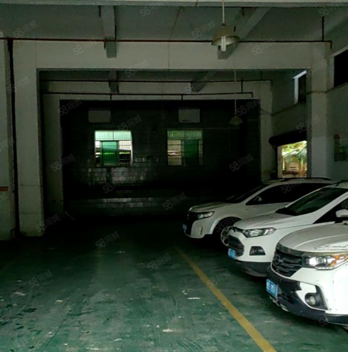 大岭山龙大高速附近 标准一楼厂房出租 精装修 超低价 可办环